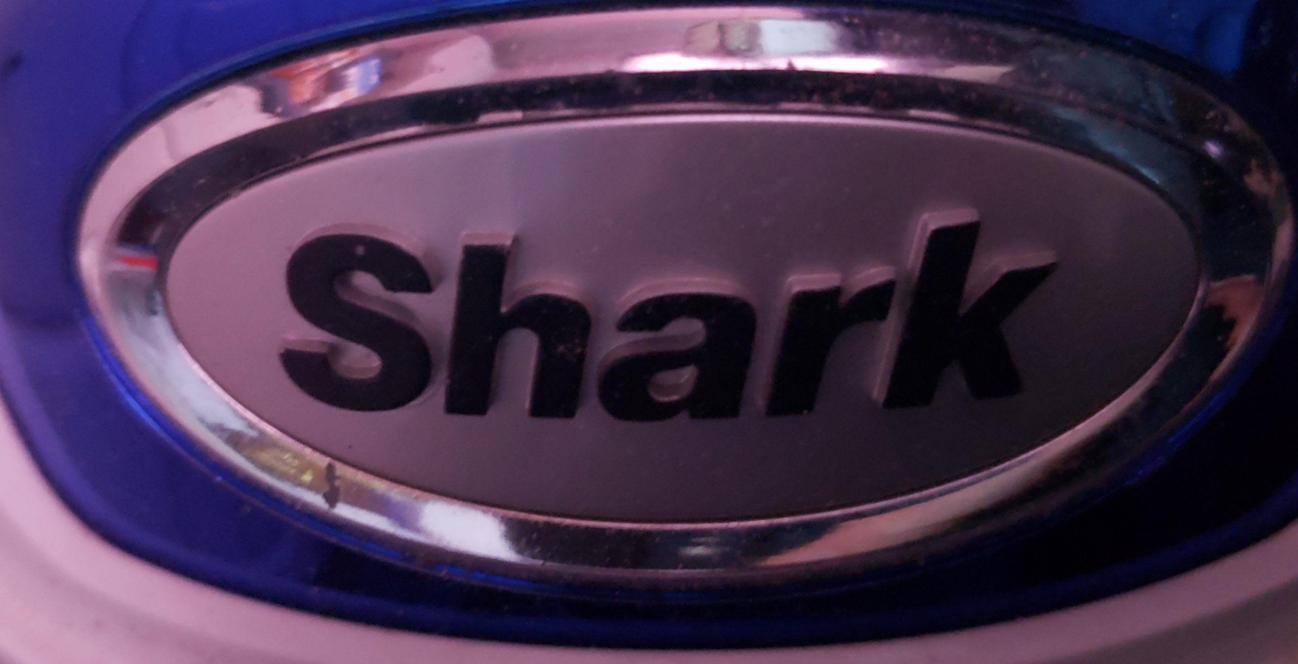 shark